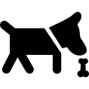 خوردن و نخوردن غذا