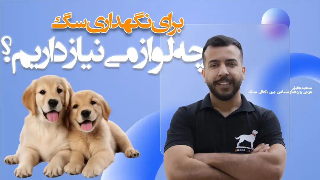 لوازم سگ