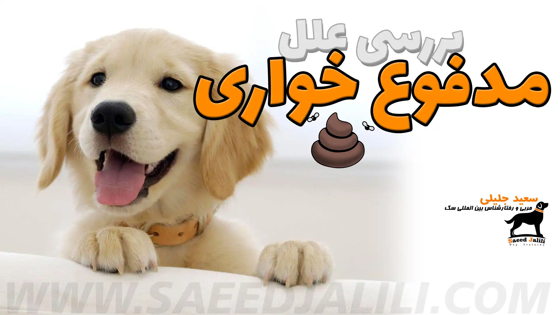 علت مدفوع خواری